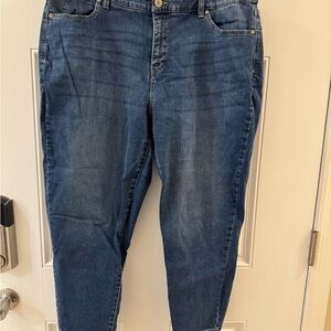 Talbots Women's Jeggings Jeans in Blue